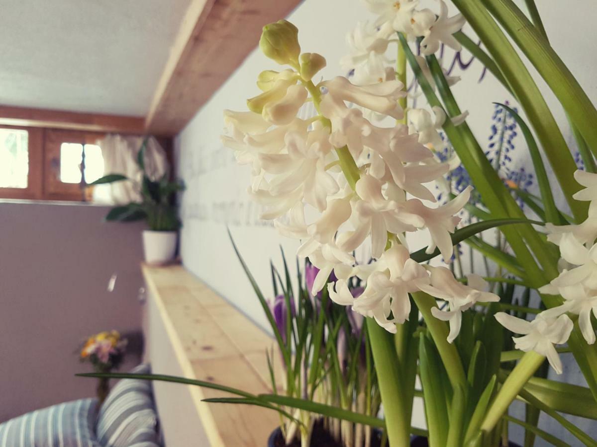 Grange Epiney Bed E Breakfast Bed & Breakfast La Salle Dış mekan fotoğraf